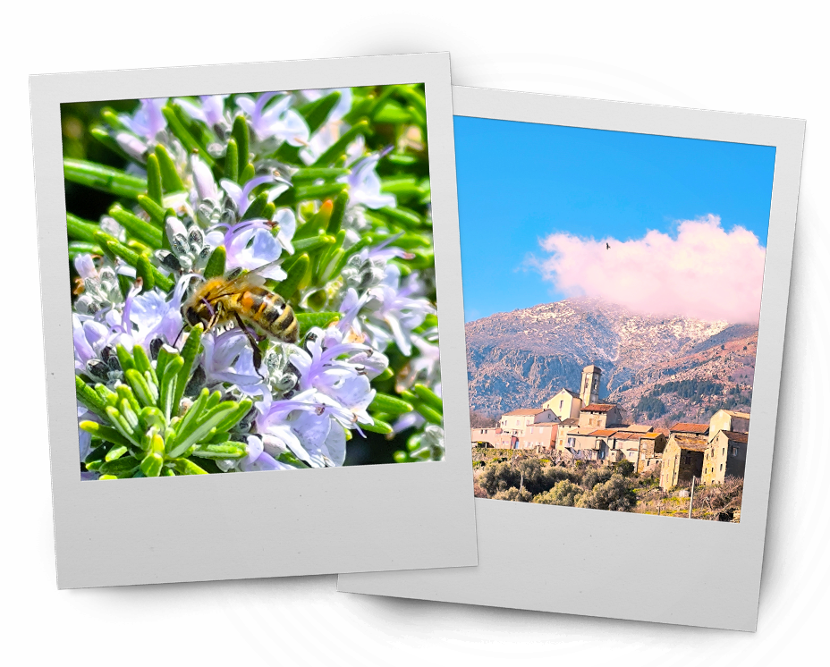 Marie Milbacher -Yoga Wanderreisen